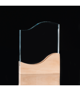 Trofeo Galvano de Madera y Cristal "Curve"