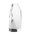 Trofeo WINNER III