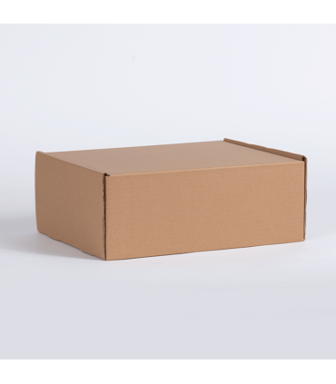 Caja autoarmable 36 x 28.2 x 12.5 cm