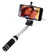 Mini Selfie Stick