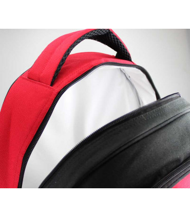 Mochila Cooler de Picnic 4 Personas