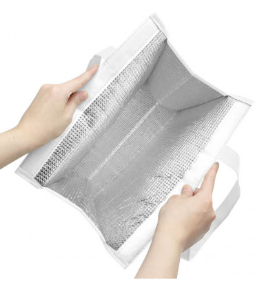 Bolsa Térmica Alumi