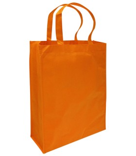 Bolsa Reutilizable Conference