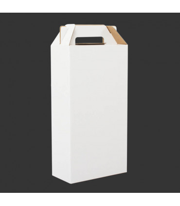 Caja de Cartón con Asas