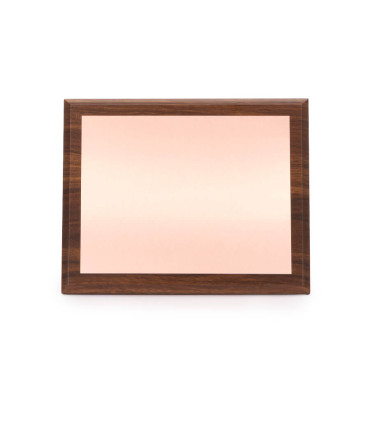 Placa Galvano encobrizado STUDIO