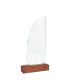 Trofeo Galvano de Madera y Cristal Sail