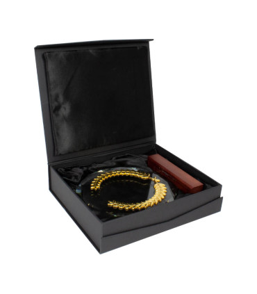 Trofeo Galvano de Madera, Cristal y Acero Phelps