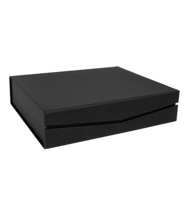 Trofeo Galvano de Madera, Cristal y Acero Phelps