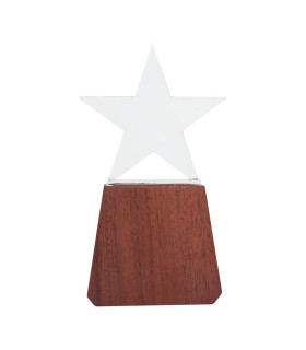 Trofeo de Madera y Cristal "Lonely Star"