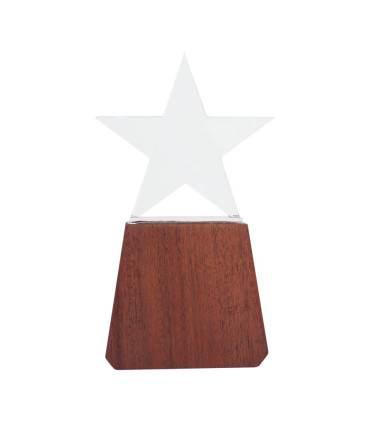 Trofeo de Madera y Cristal "Lonely Star"