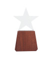 Trofeo de Madera y Cristal "Lonely Star"