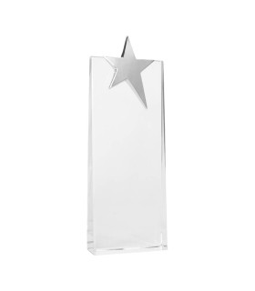 Trofeo Galvano de Cristal "Ledecky"