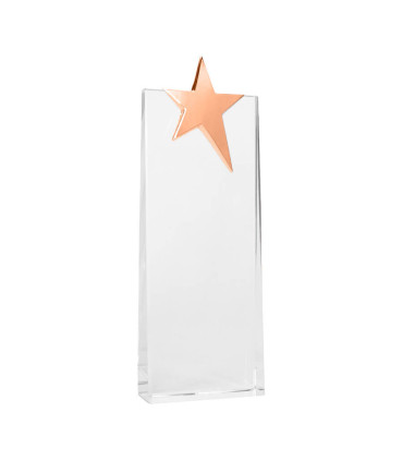 Trofeo Galvano de Cristal "Ledecky"