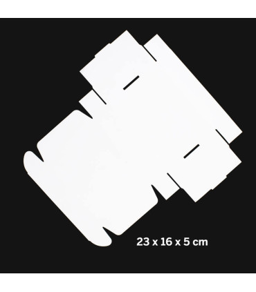 Caja autoarmable 23x16x5 cm