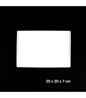 Caja autoarmable 25x20x7 cm