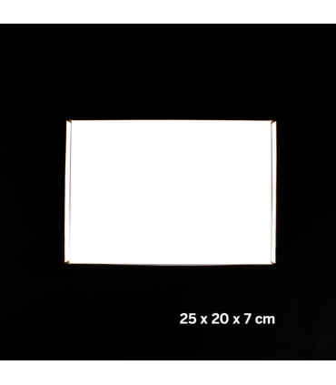 Caja autoarmable 25x20x7 cm