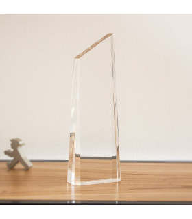 TROFEO WINNER II