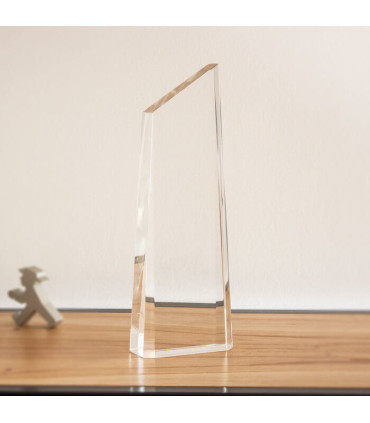 TROFEO WINNER II