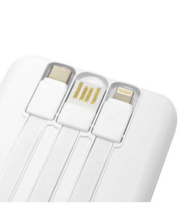 Power Bank multipuerto ATLANTA