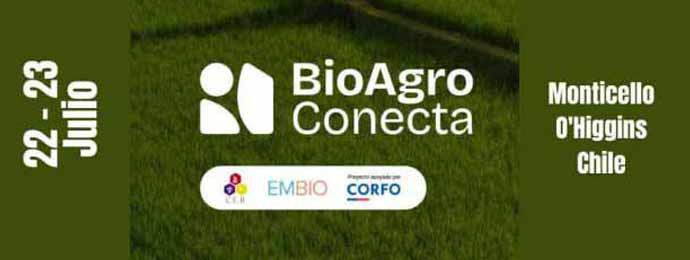 Promocionales